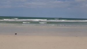 Пляж Al Khan, Шарджа, Объединенные Арабские Эмираты