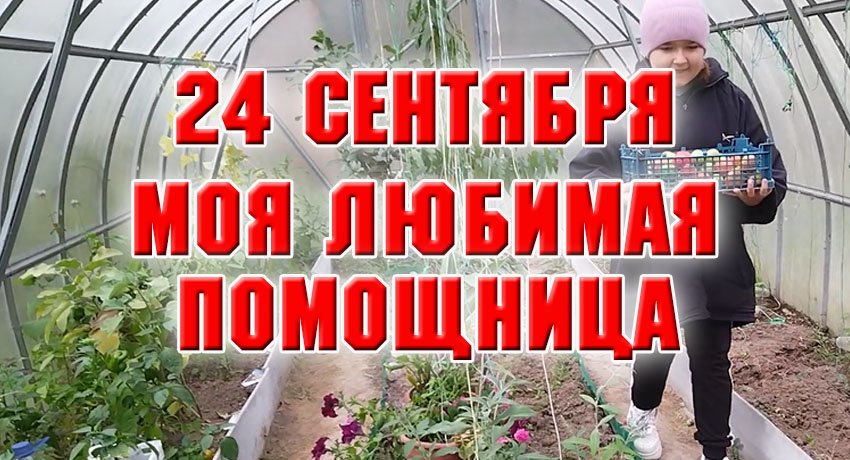 Моя любимая помощница.mp4