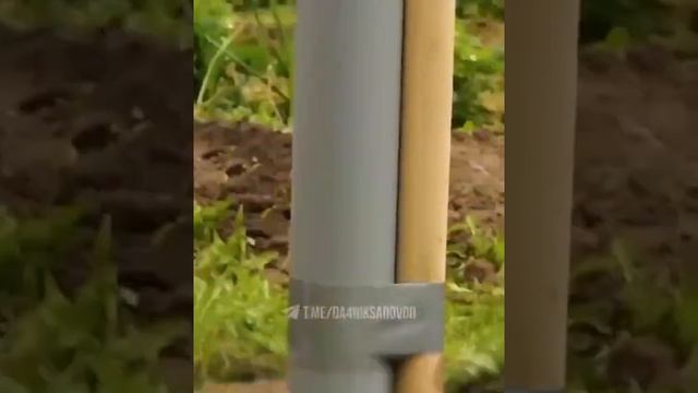 лайфхаки для дачи и сада, дачные хитрости, дачные советы,дачные идеи,советы для дачи,дачные лайфхак
