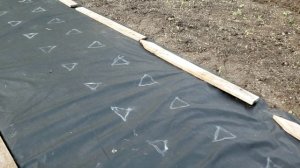 Выровнял дорожку.Застелил агроспан.