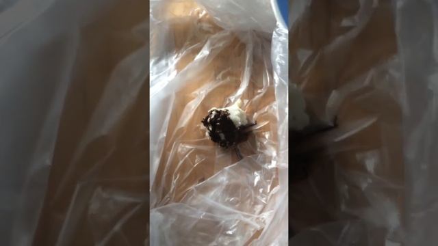 Проверяем качественный ли творог!!! смотреть онлайн