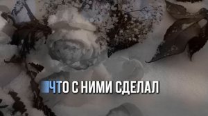 БЕЛЫЕ РОЗЫ - МЕДЛЕННАЯ ВЕРСИЯ - КАРАОКЕ