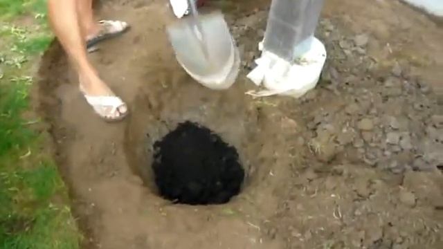 Ландшафт   посадка деревьев