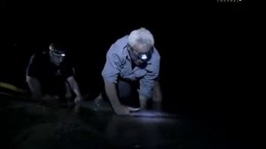 Ловля Монстра. Рыба Пила