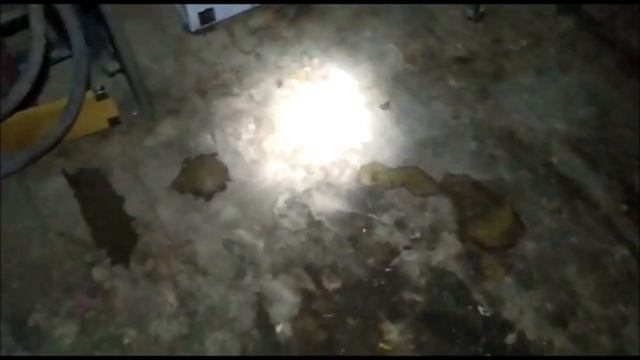 Малыши ищут свой дом!! смотреть онлайн