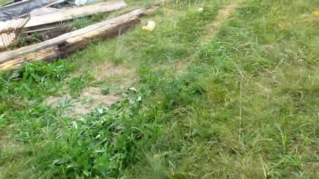 День рождения Тимофея 8 лет!!! Советуем посмотреть!!! смотреть онлайн