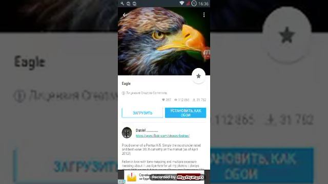 Как установить обои на телефоне смотреть онлайн