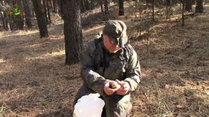 НАЙТИ те ГРИБЫ которых не ВИДНО. СТРАТЕГИЯ ПОИСКА БЕЛЫХ ГРИБОВ.