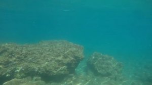 Турция Апрель Май 2019 Отель Литоре Анталья Окурджаллар