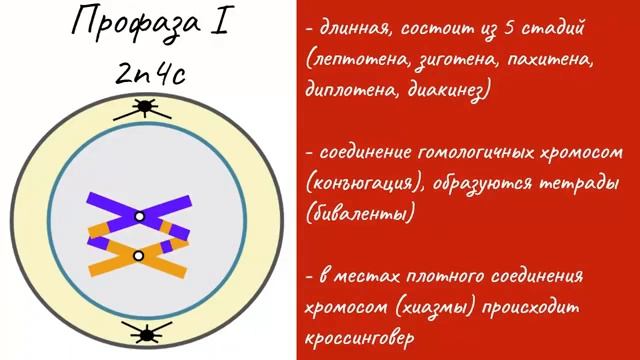 Преподаватель - Ерболатова А. смотреть онлайн