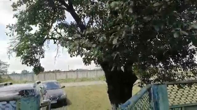 Недвижимость ст Каневская, Арболит Юг Агентства Недвижимости, Арболит Юг Строй