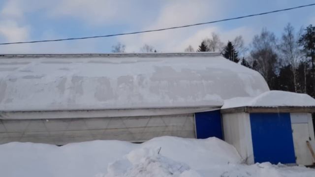 Опробовал подогрев двигателя МТЗ / морозы ОТСТУПИЛИ / открываем новый корм. за Русь ! смотреть онлайн