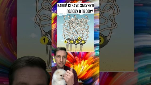 Какой страус засунул голову в песок? ??? #shorts #funny #валера