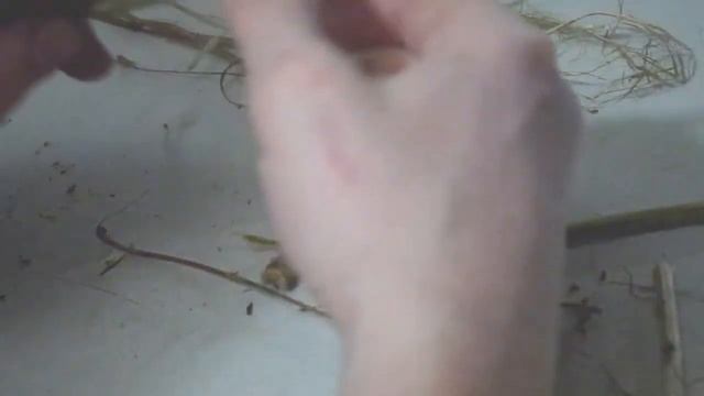 Волокно из крапивы / Nettle fiber смотреть онлайн