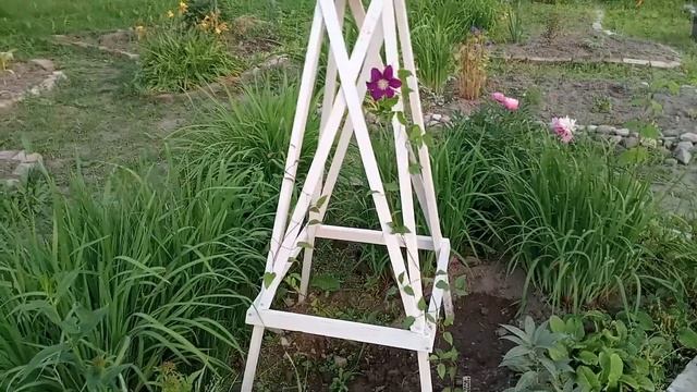 МАТТИОЛА зацвела. "Невзрачная простушка" своим АРОМАТОМ покорила МОЁ ❤️!!!)))