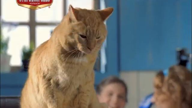 Сардельки «Вязанка»
