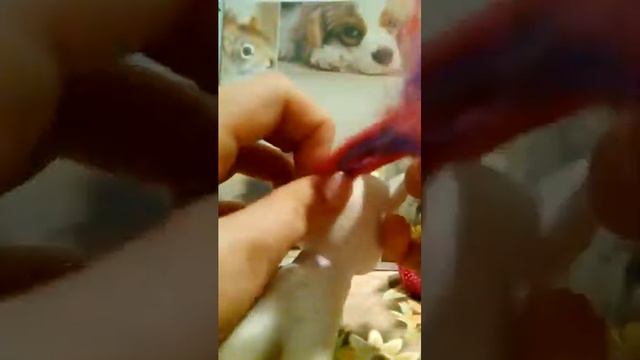 Топ 3 причёски для пони смотреть онлайн