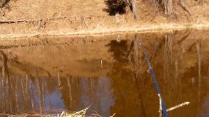 Рыбалка на р. Яуза в 2023 году. Апрель.