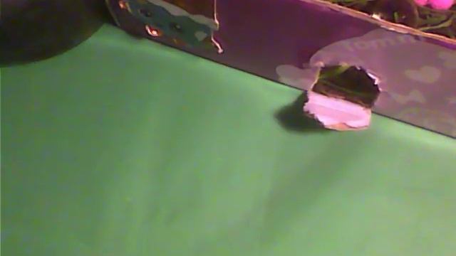 домик божьей коровки ( она летать неумеет:( ) кто хочет продол жение пешите #хочюпродолжение смотреть онлайн