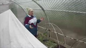 Как установили сетку для огурцов!
