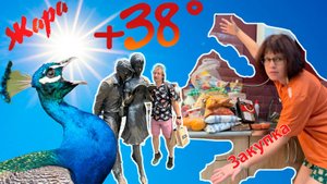 ИЗ ВОРОНЕЖА В КРАСНОДАР.ЗАКУПКА ЕДЫ.Музей Боевой Славы.Красная Улица.К павлинам по дикой ЖАРЕ.