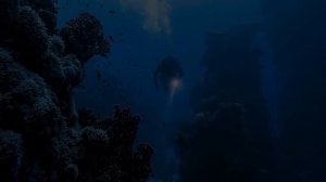 Блуп против Мегалодона самого Страшного Чудовища океана