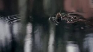 ГДЕ МЫ С ТОБОЙ ТАНЦУЕМ ВАЛЬС