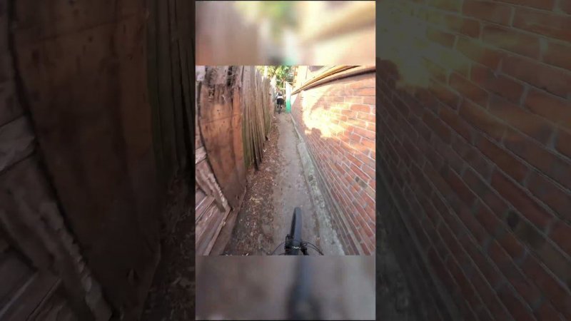 urban freeride