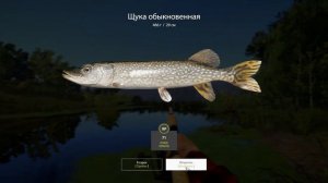 Русская рыбалка 4(рр4/rf4) - озеро Старый острог. Щука.