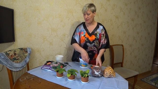 43. Уход за нежными сенполиями...