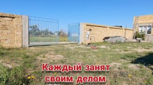 ?Из города на Дачу. ?Делаем навес над Тандыром. Жизнь на Даче. Луганск ЛНР. Крым Евпатория.