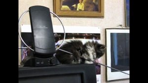 Как правильно настраивать антенну  /  How to configure a TV antenna