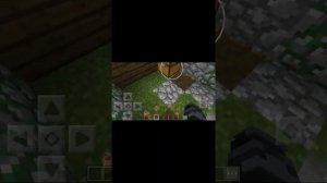 Я играю в Minecraft версии 1.1.0.3.