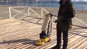 Аренда паркетно-шлифовальной машины LEVEL (300 мм) в Симферополе, доставка по Крыму