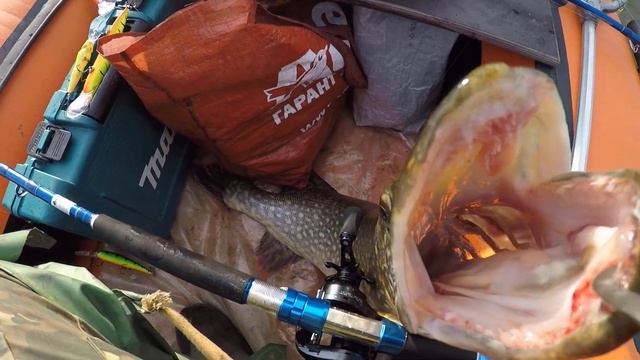 Трофейная рыбалка на хищную рыбу. смотреть онлайн