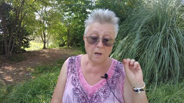 Главный вопрос - кому отойдут земли после лишения права? смотреть онлайн