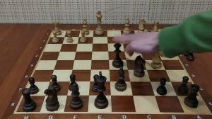 Поставь быстрый МАТ в начале партии! Самая наглая ЛОВУШКА в дебюте. Шахматы ловушки в начале партии