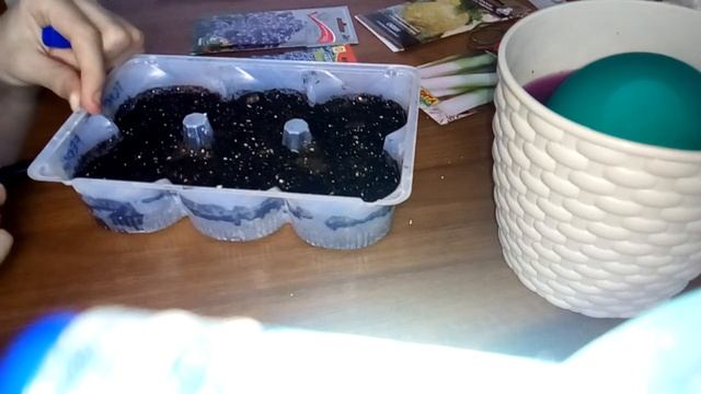 Посев Гелиотропа. Часть 1. смотреть онлайн