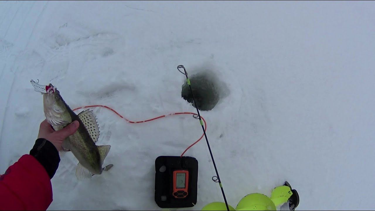ГЛАВНЫЕ НАСТРОЙКИ ЭХОЛОТА ПРАКТИК ДЛЯ ЛОВЛИ СУДАКА.ПРИМАНКИ НА СУДАКА Madness и Bassday.Ловля судака смотреть онлайн
