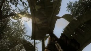 GeForce GTX 200 GPUs