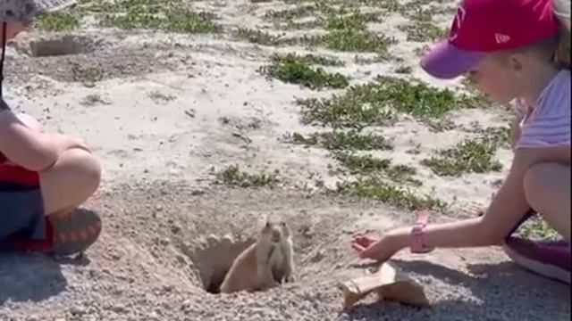 дети были не готовы смотреть онлайн