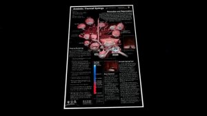 МЯСНАЯ ЯМА  — Таинственный  НАЦИОНАЛЬНЫЙ ПАРК (Mystery Flesh Pit)