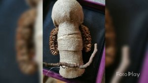 Сова из шишек ? (слайд шоу)