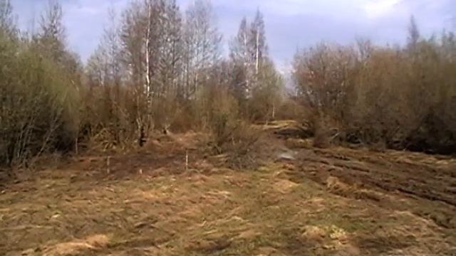 Бешанная Нива смотреть онлайн