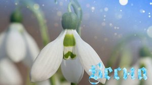 Футаж. Весна 35