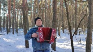 Белым снегом на гармони