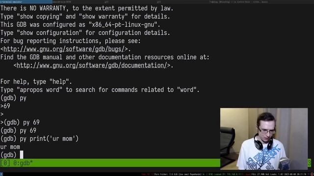 Wait, but Who's Debugging the Debugger?! смотреть онлайн