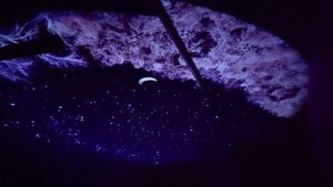 Sega Toys Homestar Flux - Bought Starry Night Sky for my wife's birthday