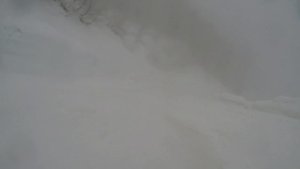 2024-03-08. Сочи. Красная поляна. Панорама (красная) - Реликтовый лес (синяя). Немного фрирайда.