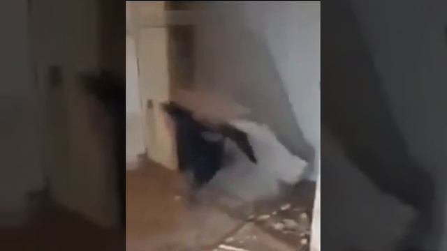 Естественный отбор?
